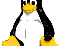 Linux常用基础命令三-CDN-服务器-VPS优惠/促销/测评-撸主机评测